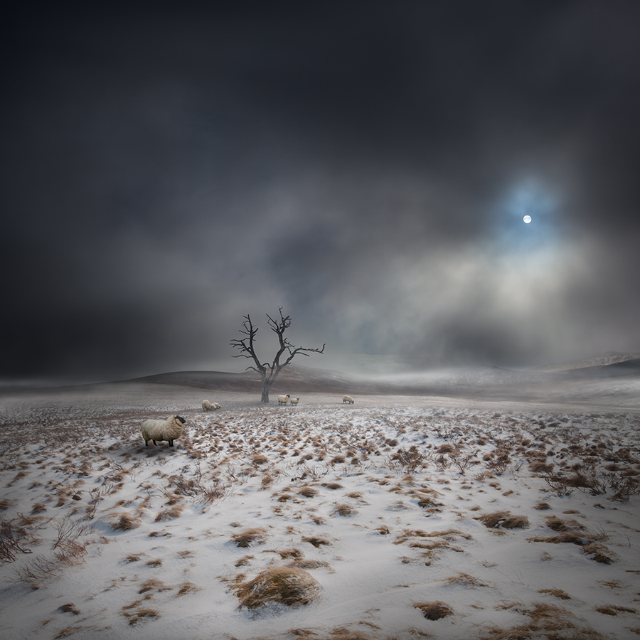 The Land OF THe Midnight Sun