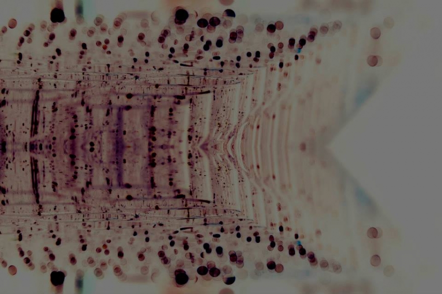 the strict lines of the glasses