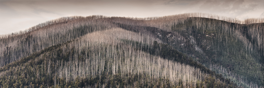 Lake Mountain evening