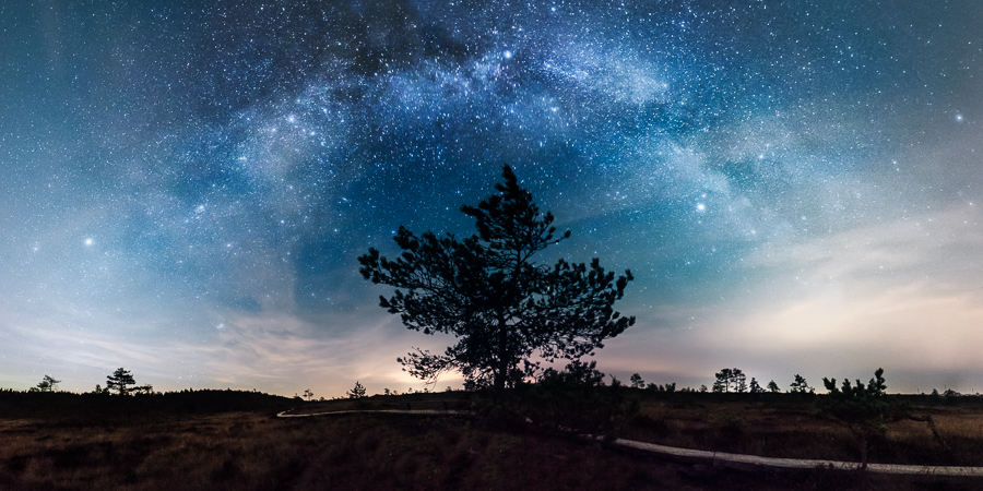 One, two, tree under the milky way