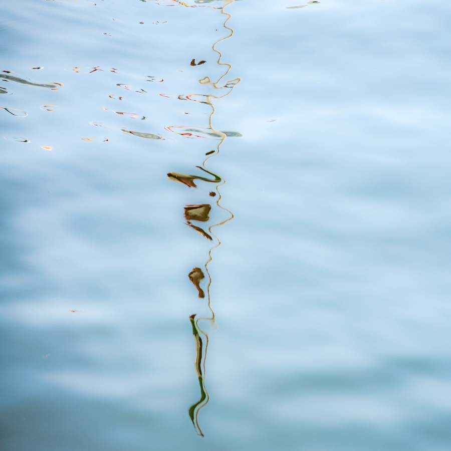 Reflections