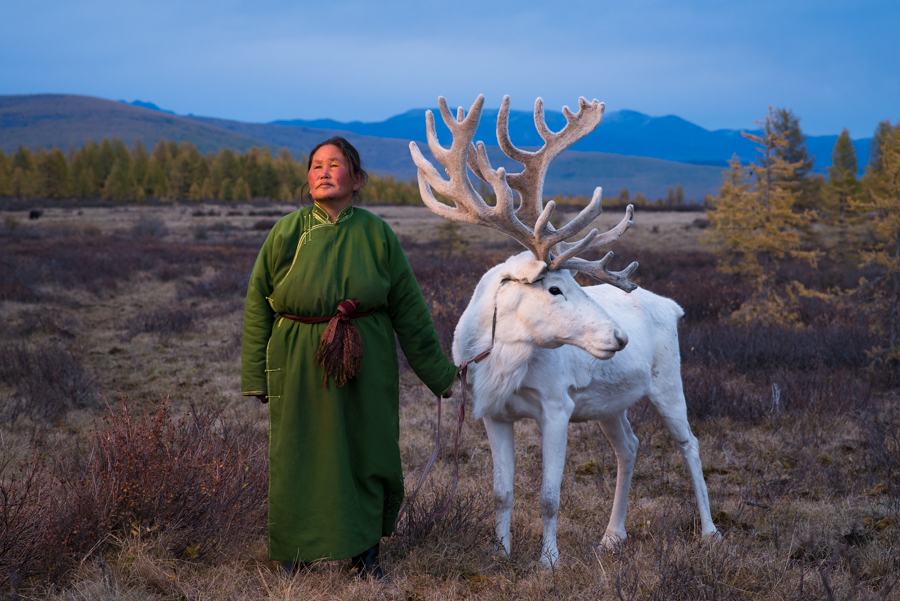 Tsaatan Woman with Reindeer