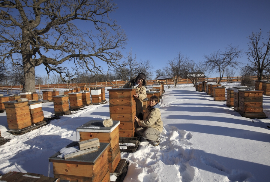 Kings & Queens in Their Castles