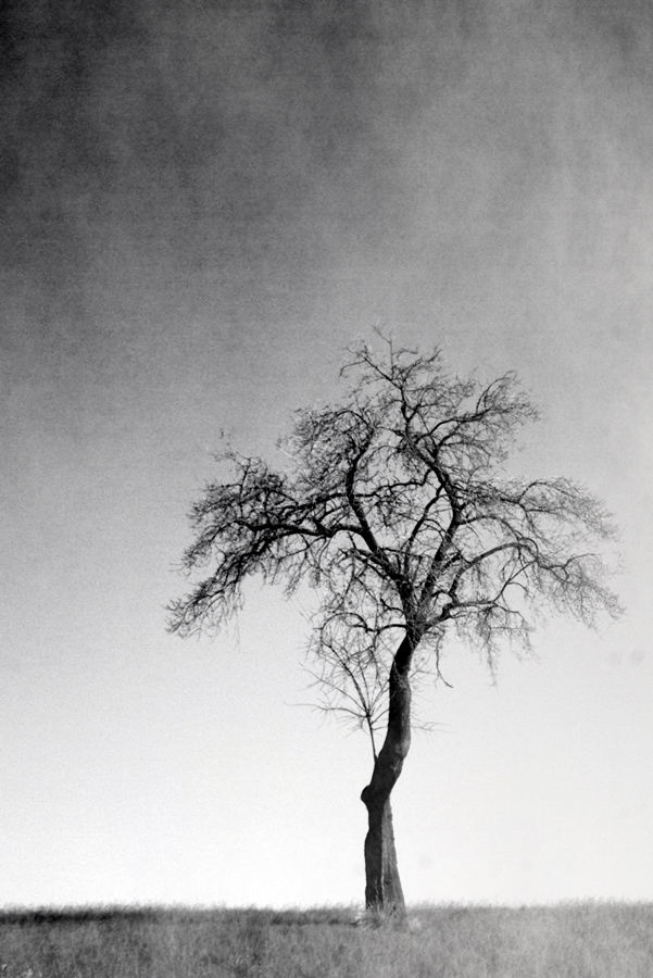 Beata solitudo, sola beatitudo