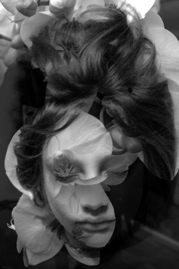 Beata solitudo, sola beatitudo