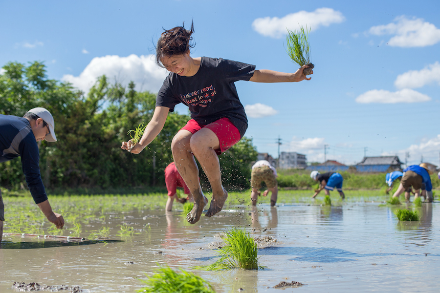The Levitation Rice Planting