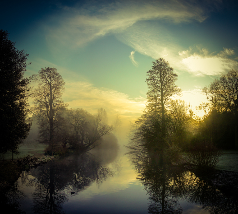 Misty Sunrise - Syon Gardens
