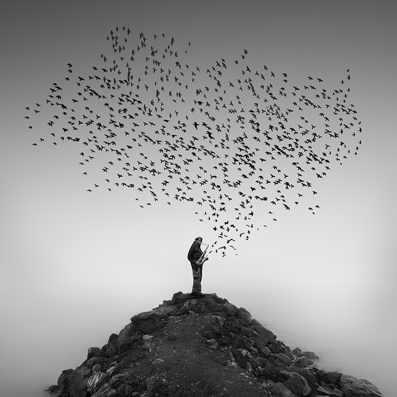 Don't stop the music