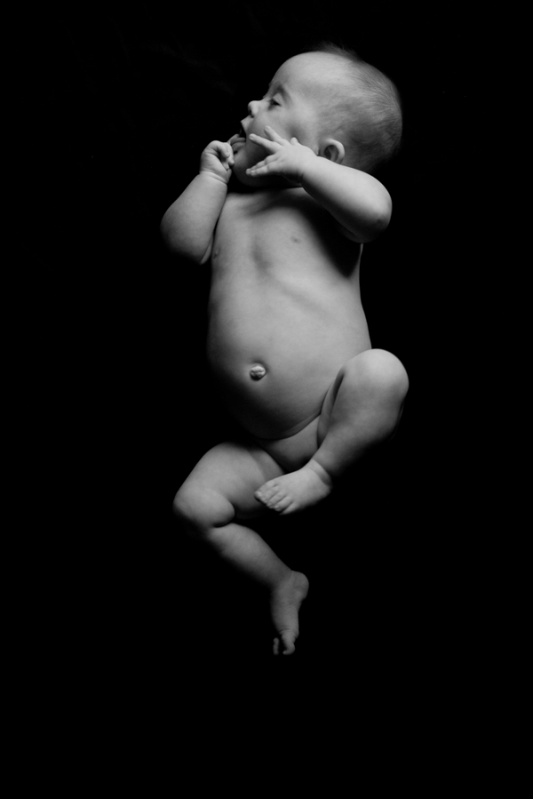 The Jump (Being Emily)