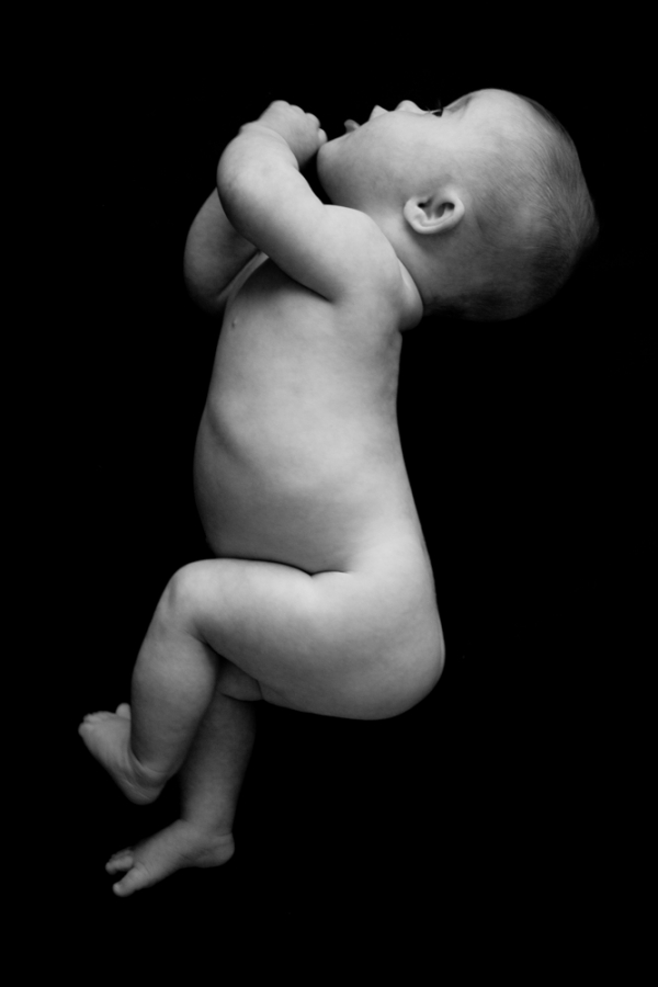 The Jump (Being Emily)