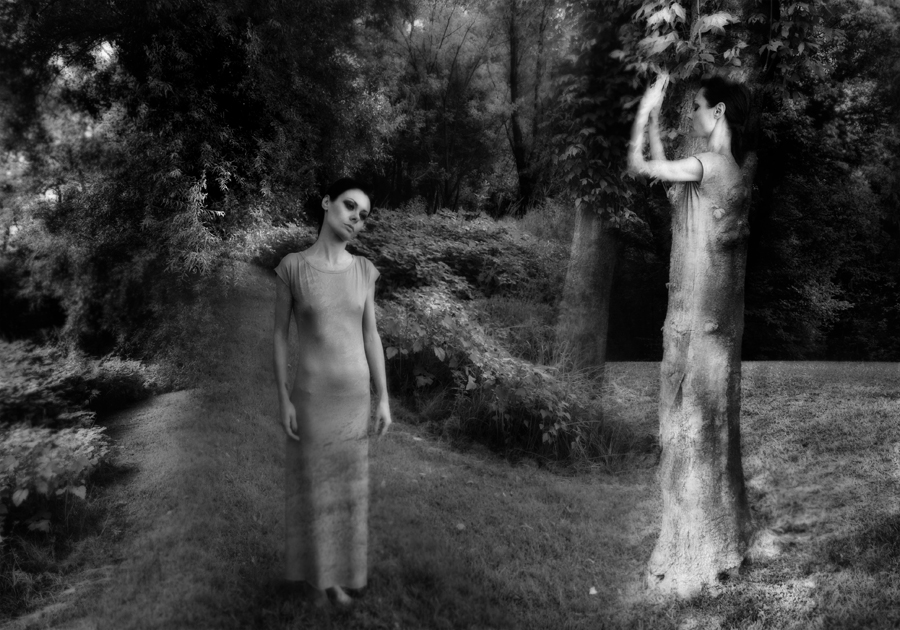 The velocity of love