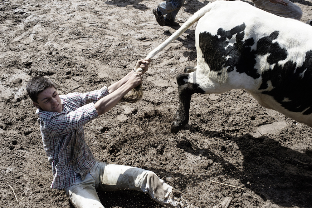 Behind the Bullfighting