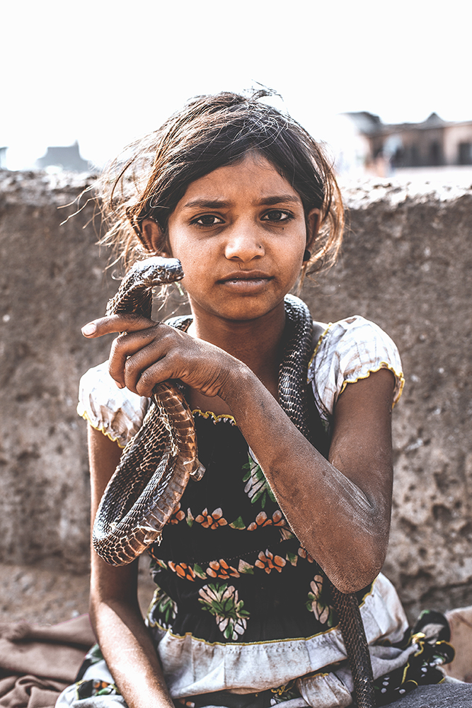 Portraits from a Journey through India