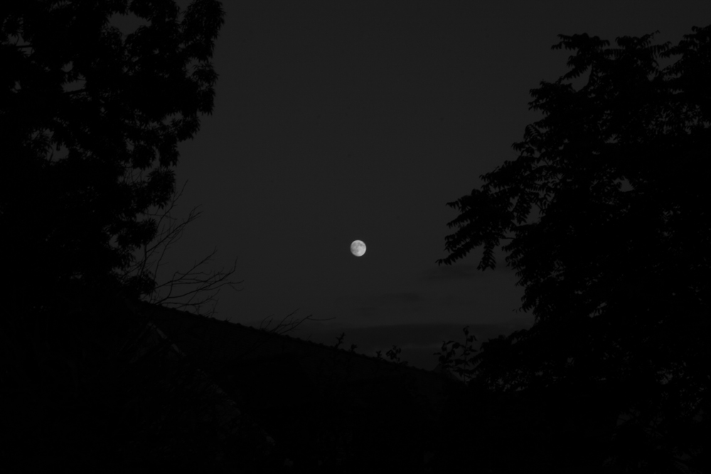 The slow flight of the butterfly