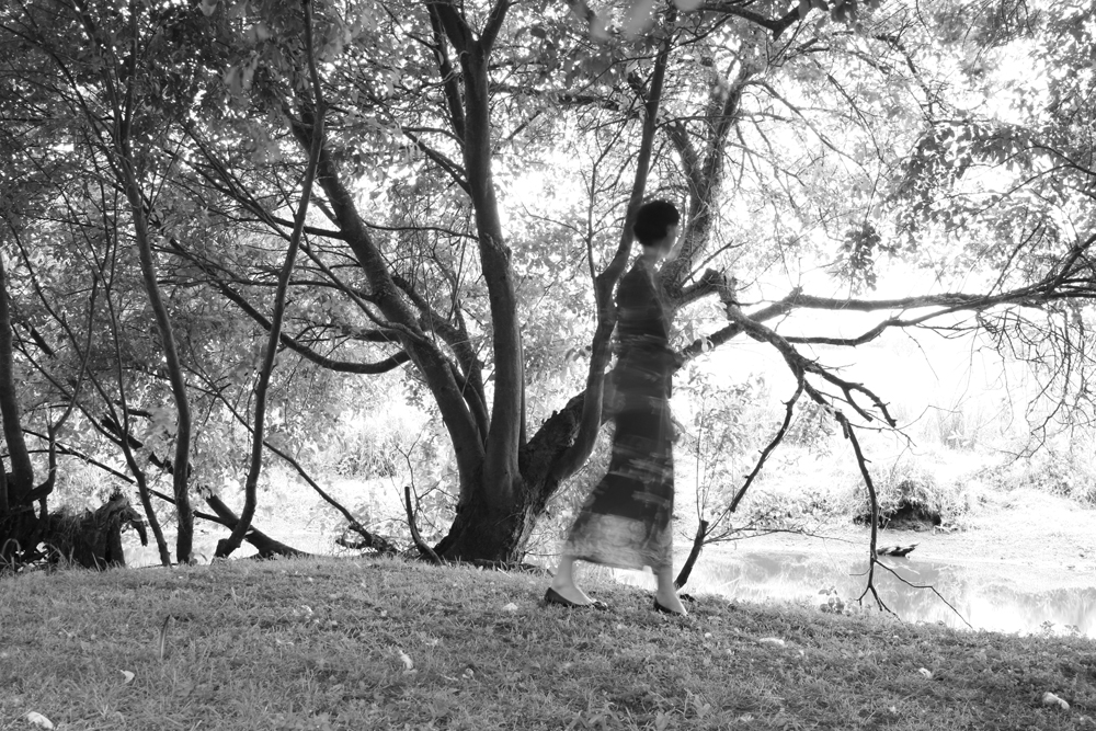 The slow flight of the butterfly