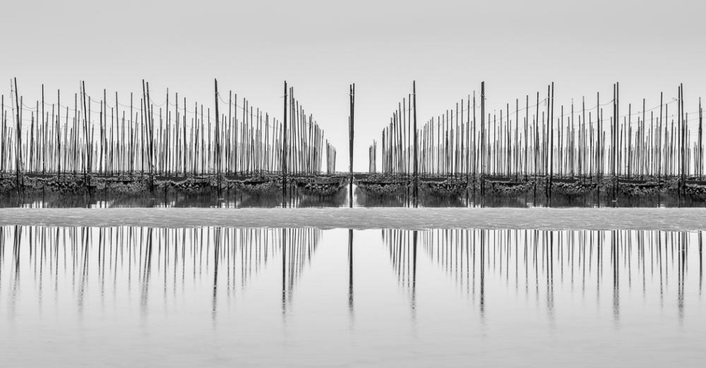 Seaweed Nets, Chitahanto, Japan