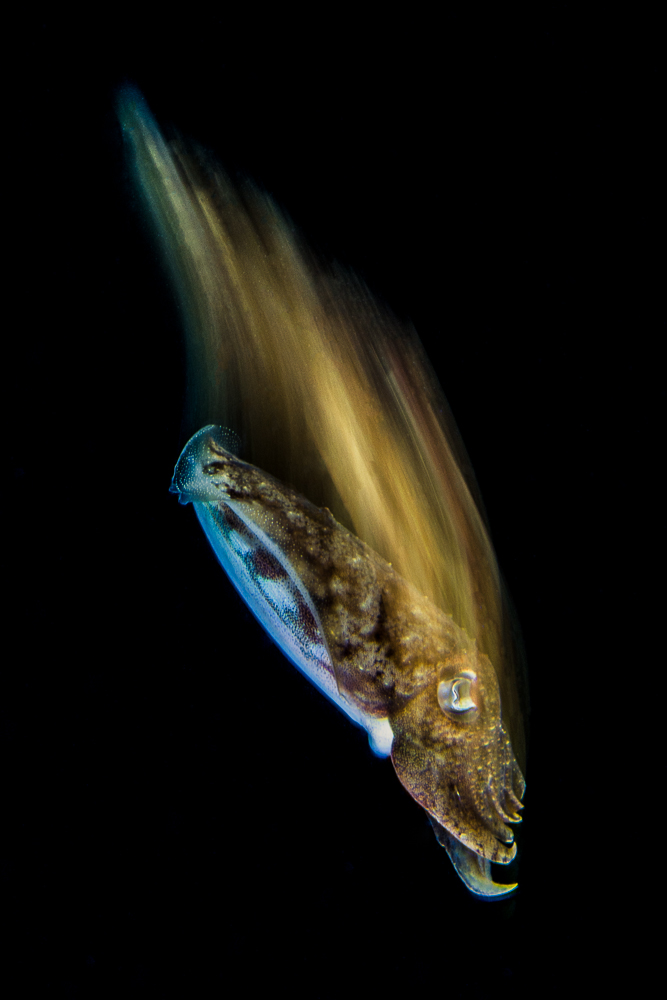 Mediterranean Beauty