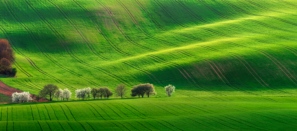 Moravian Tuscany