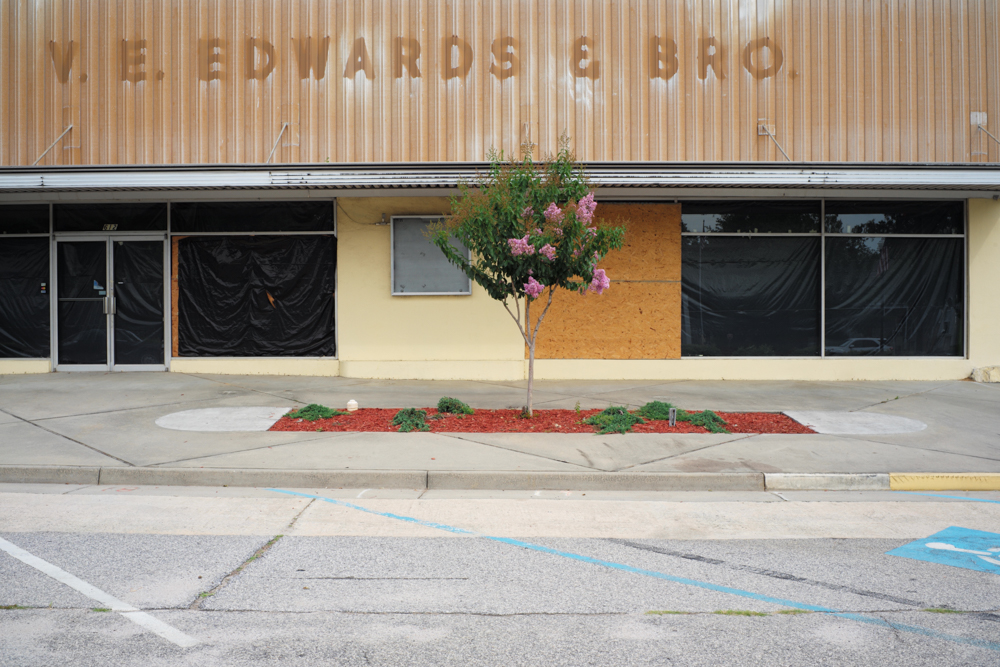 There is Life on this Planet