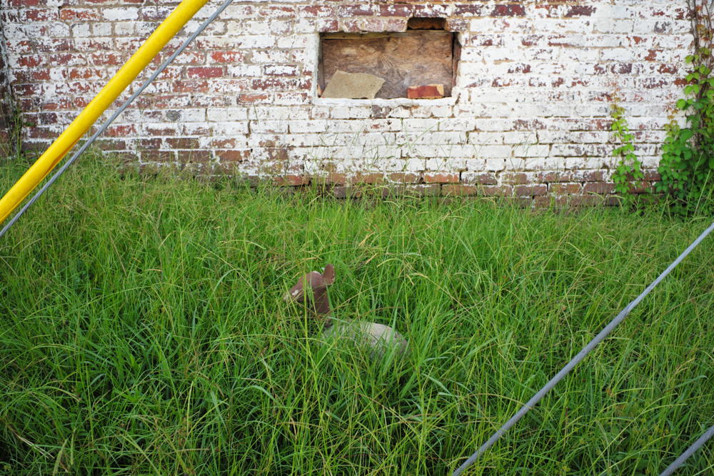 There is Life on this Planet