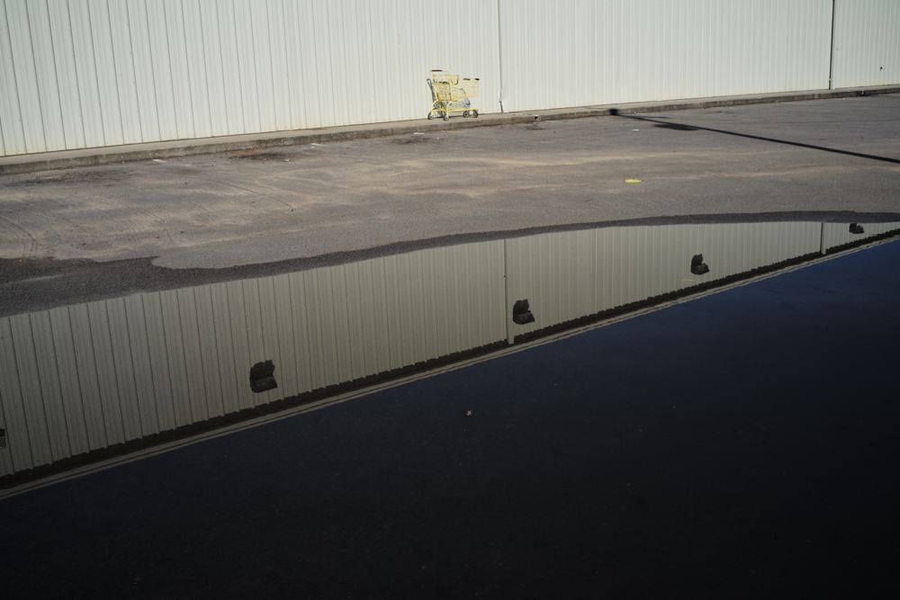 There is Life on this Planet