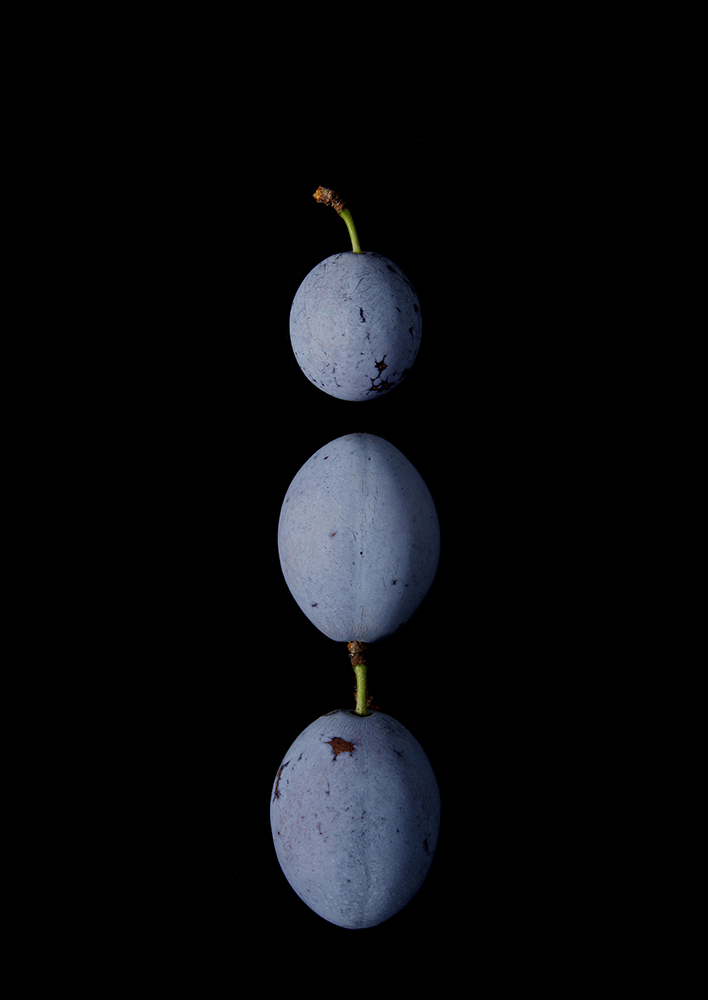 Portrait of Fruits