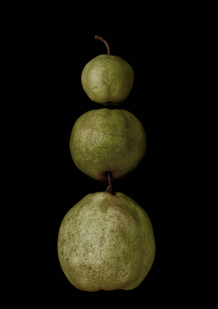 Portrait of Fruits