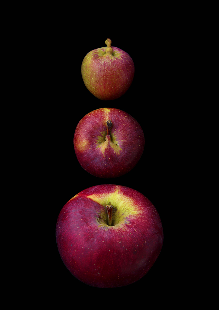 Portrait of Fruits