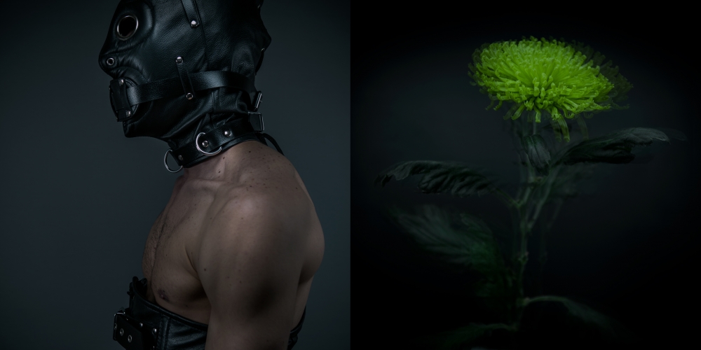 A N I M A  E'  C A R N E