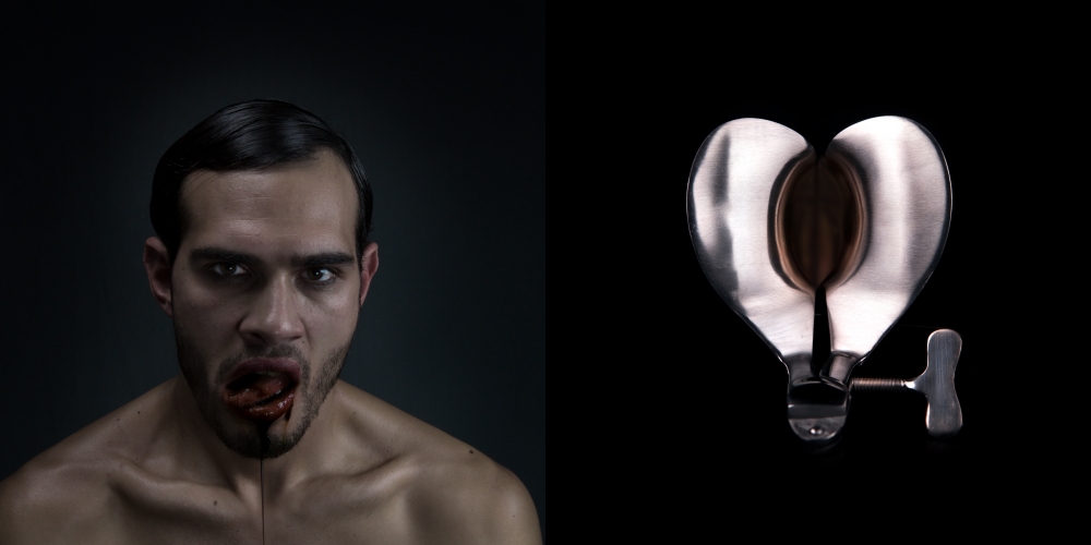 A N I M A  E'  C A R N E