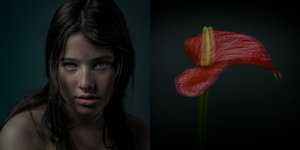 A N I M A  E'  C A R N E