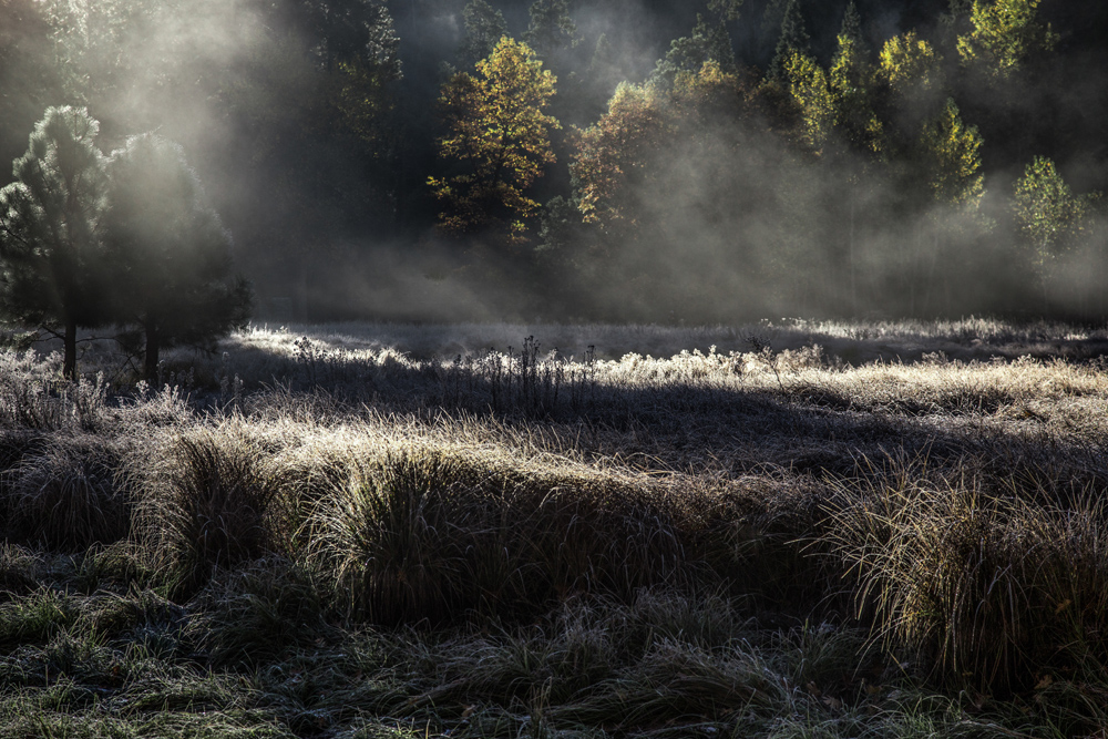 The magnificence of Yosemite