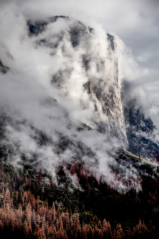 The magnificence of Yosemite