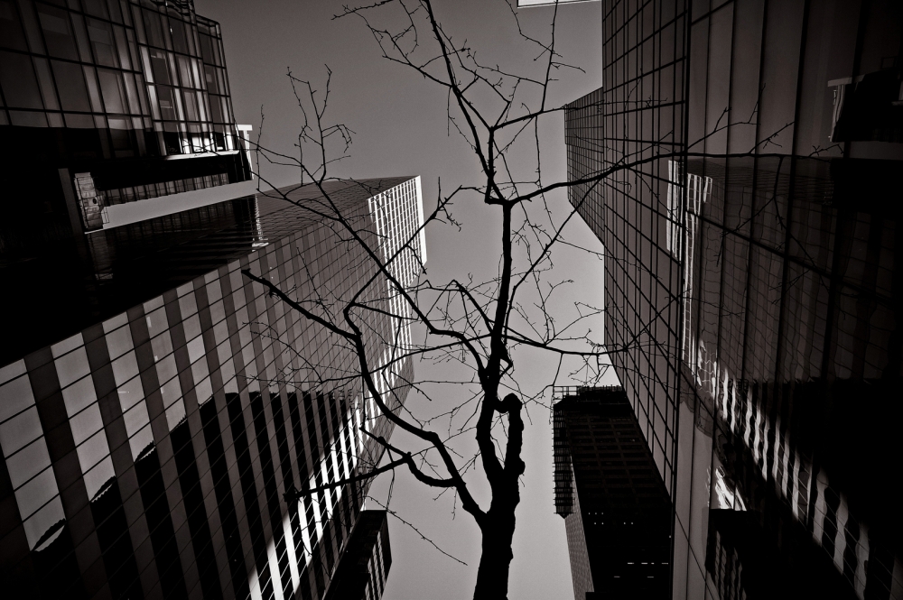 New York / Looking up