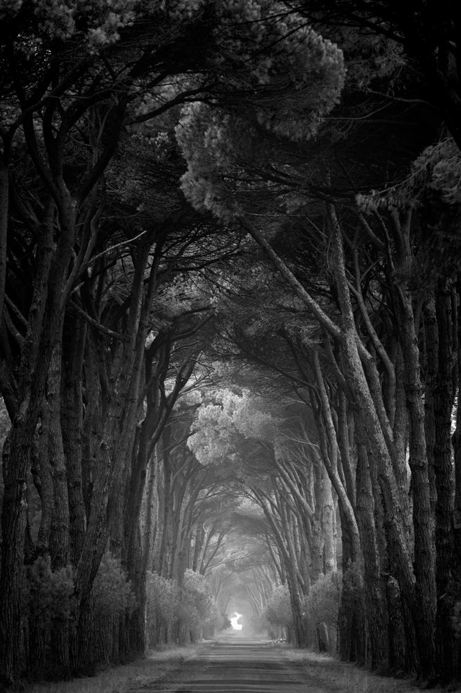 The paths of Tuscany