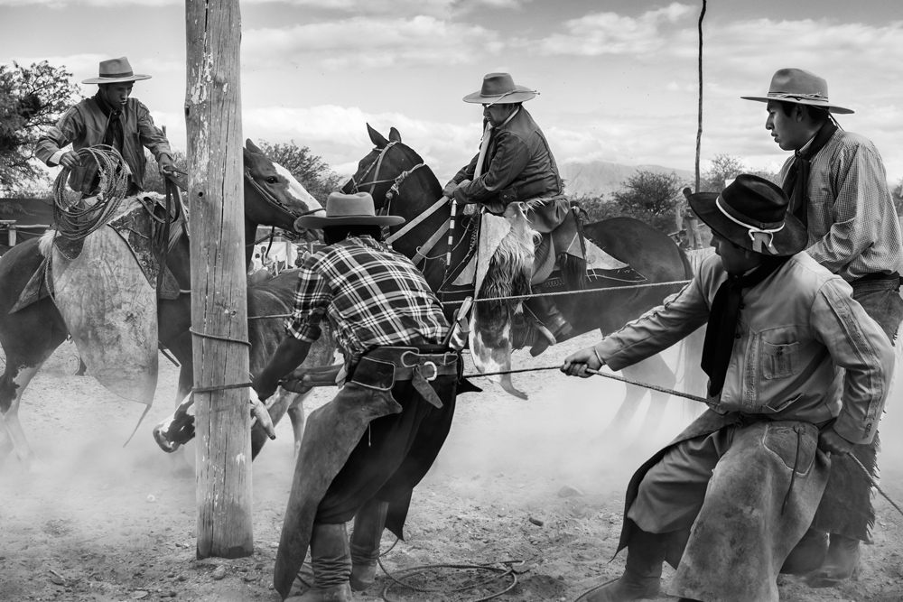 Gaucho Calchaquí - Pialada