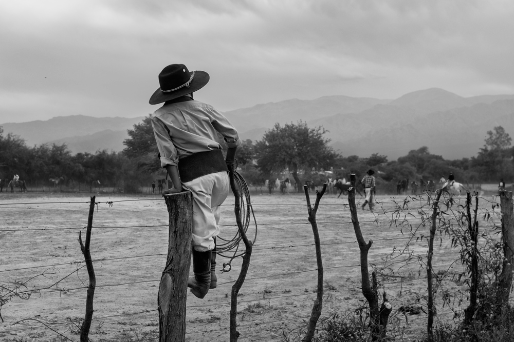  Gaucho Calchaquí - Futuro