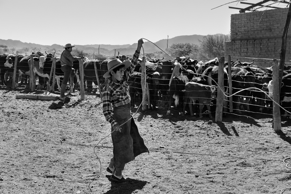  Gaucho Calchaquí - Futuro