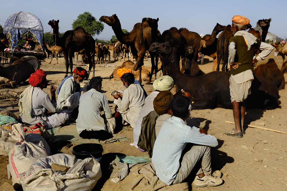 The Pushkar Camel Fair