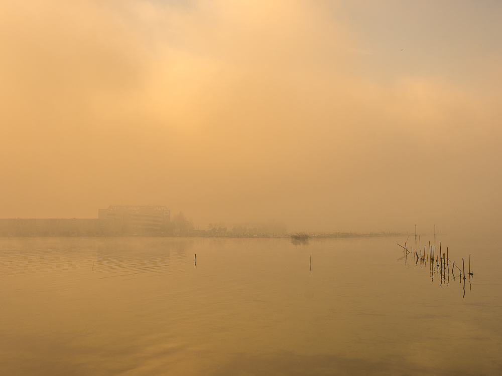 Venice in the Mist