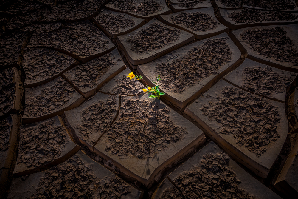 Death Valley: The Land of Light & Texture