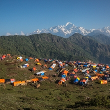 Nepal 7.8 Starting From Scratch