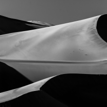 Sails in the Dunes